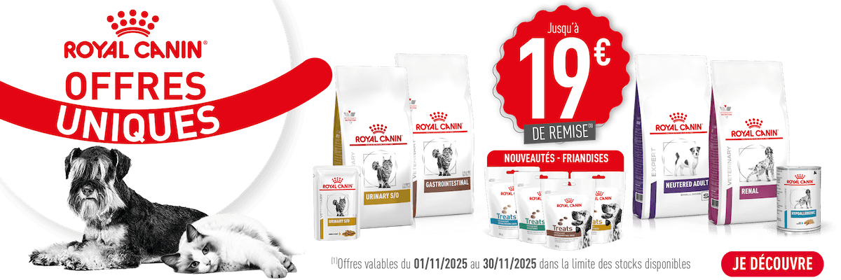 vente en ligne croquette Bannière RC 10%