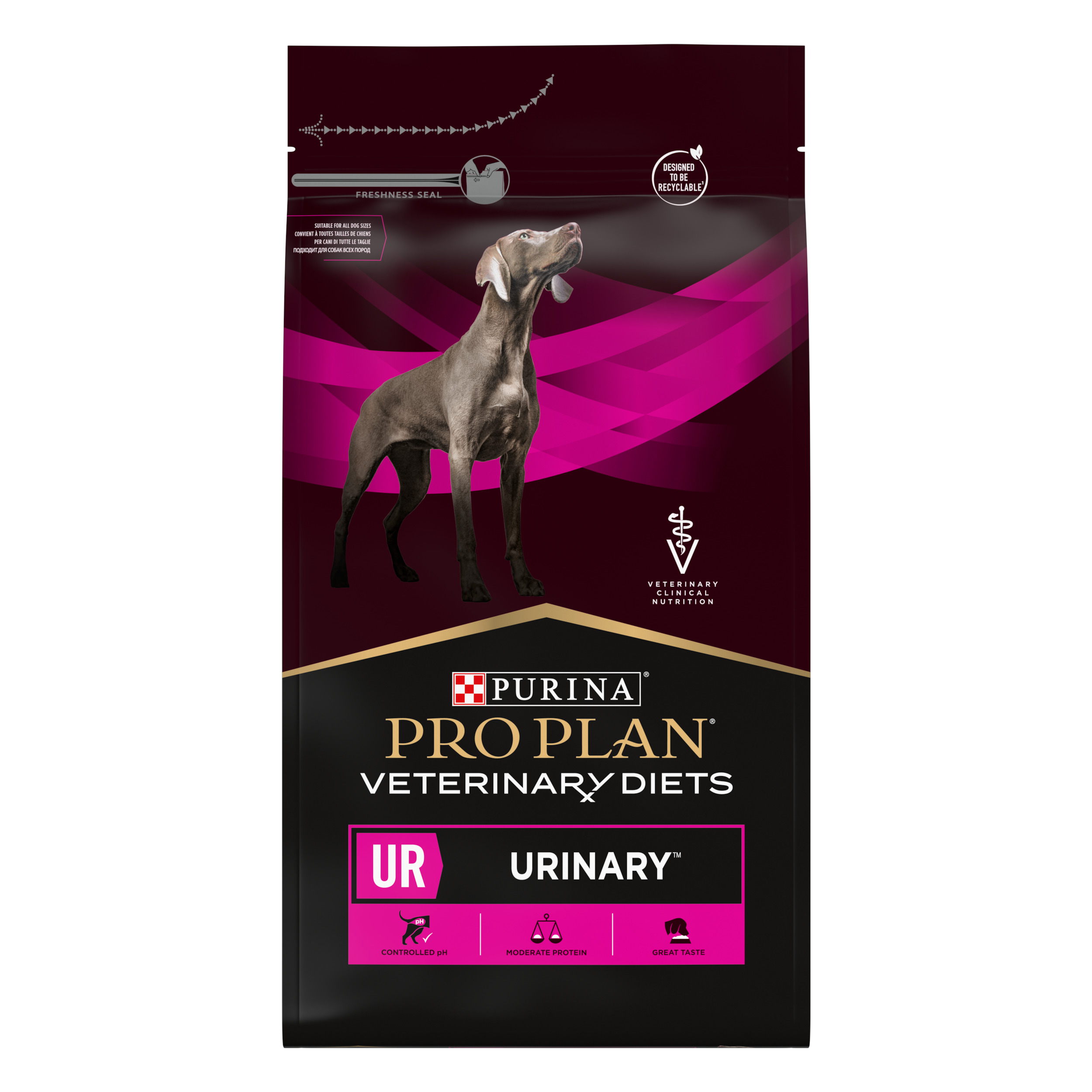 Canine UR Urinary