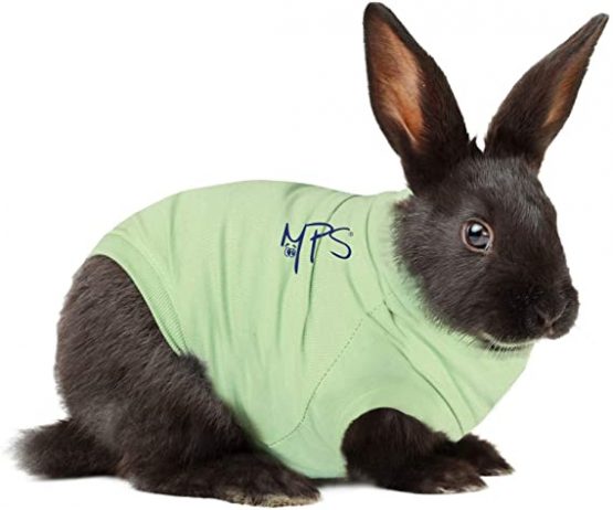 MPS Medical Pet Shirt pour Lapin
