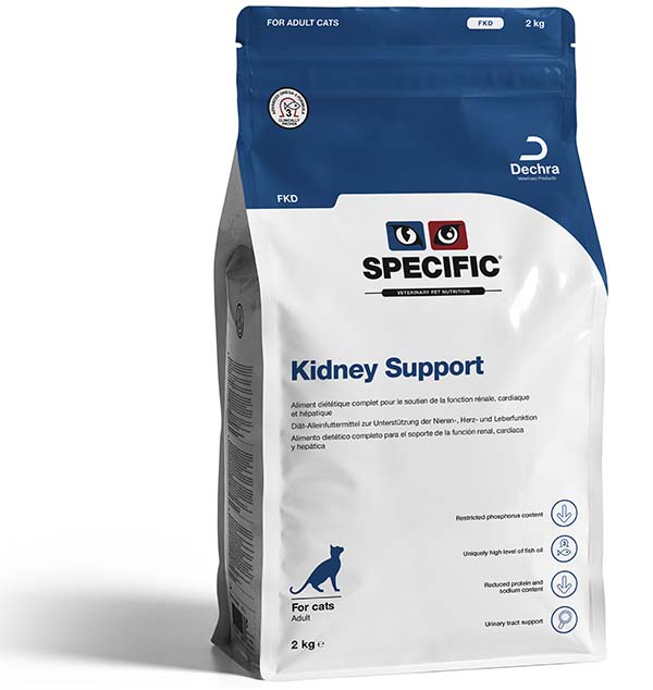 Chat FKD Kidney Support