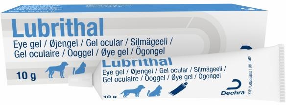 Gel oculaire Chien Chat