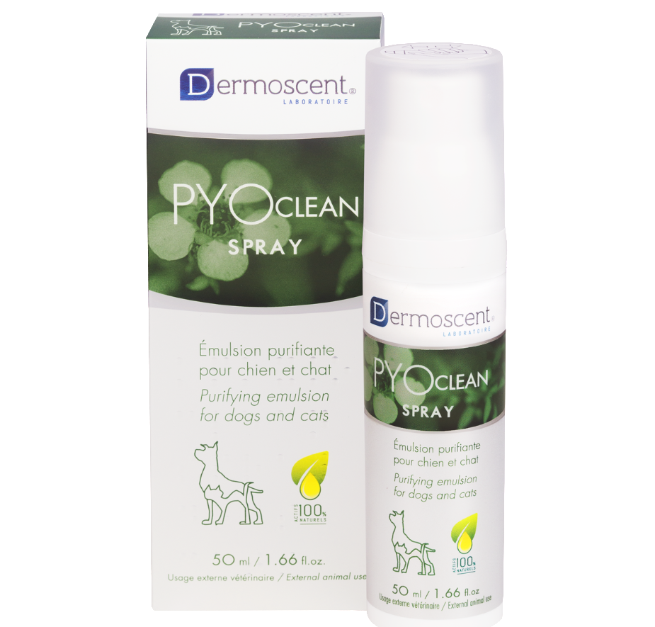 Pyoclean Spray