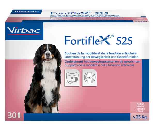 Complément FORTIFLEX 525 « NF » Chien