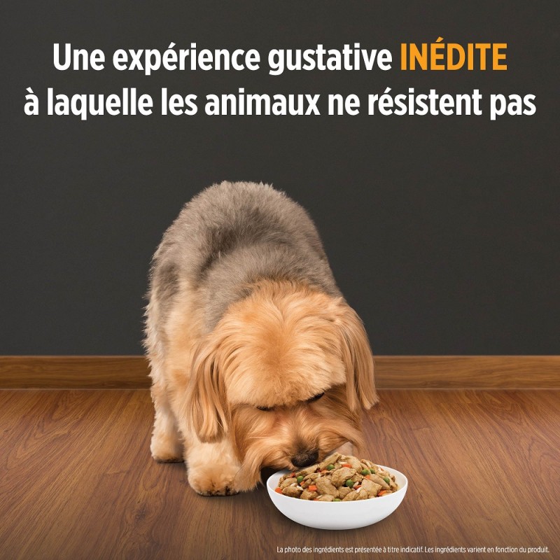 Hill S Prescription Diet Patee Metabolic Mobility Mijotes Thon Chien 12x354g Prescription Diet Hill S Vetorino Hill S Prescription Diet Patee Metabolic Mobility Mijotes Thon Chien 12x354g Prescription Diet Hill S Vetorino