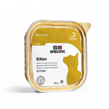 SPECIFIC Chat FPW Kitten