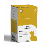 SPECIFIC Chat FPW Kitten