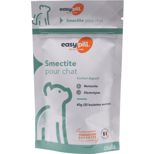 SMECTITE CHAT