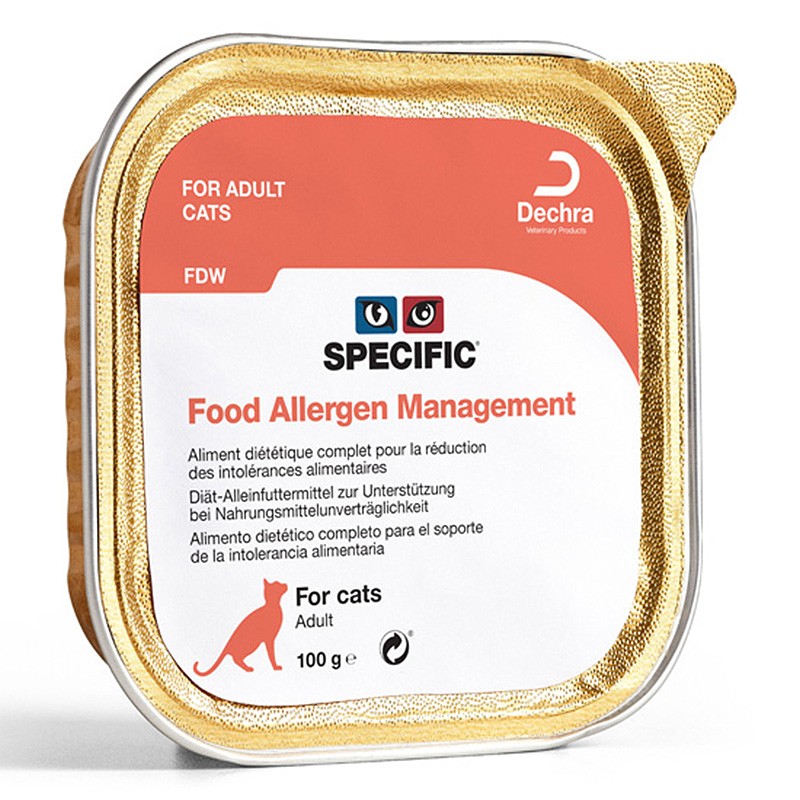 Chat FDW Food Allergy Management