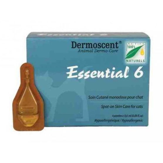 dermoscent-essential-6-chat-4-pipettes-14