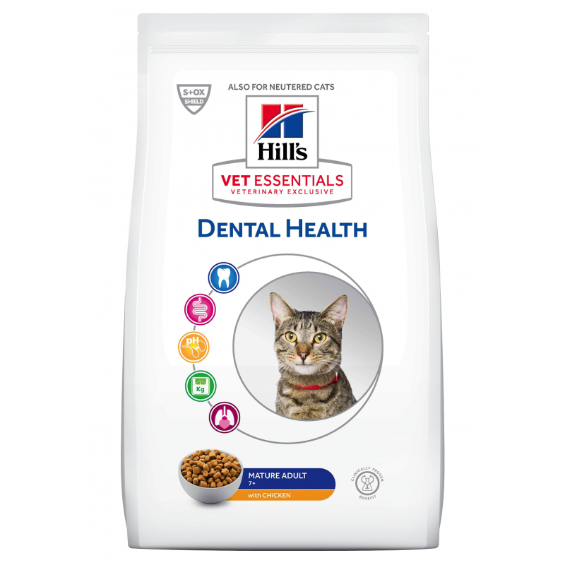  Feline Dental Mature adult