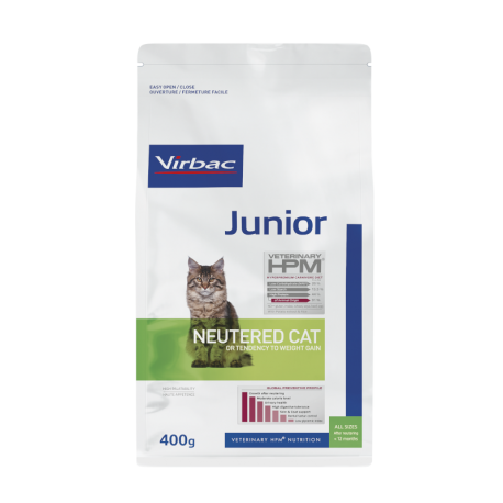 Junior neutered cat