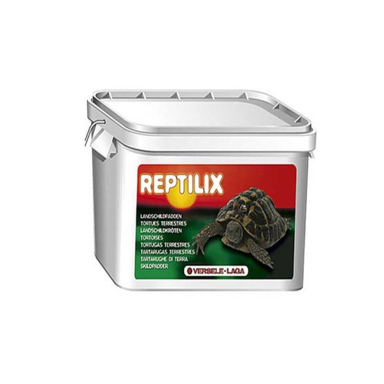 tortue-reptilix-bt-1-kg-14
