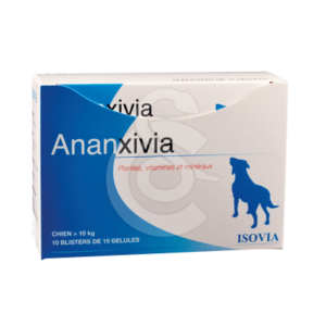 Ananxivia Grand Chien