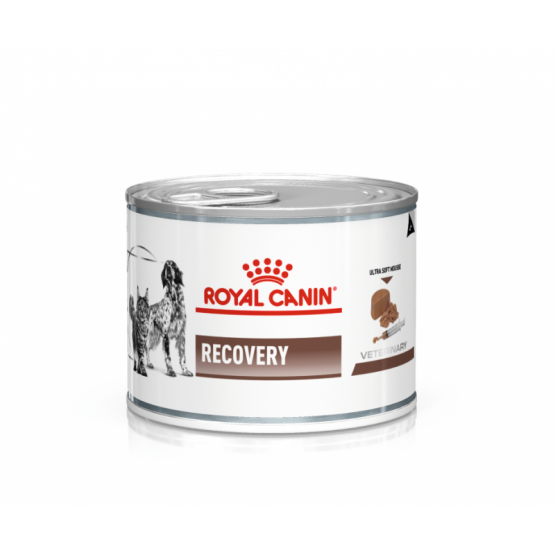 royal canin cat dog recovery boite