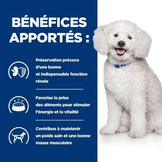 Hill's Prescription Diet k/d Kidney Early Stage Croquettes pour Chien