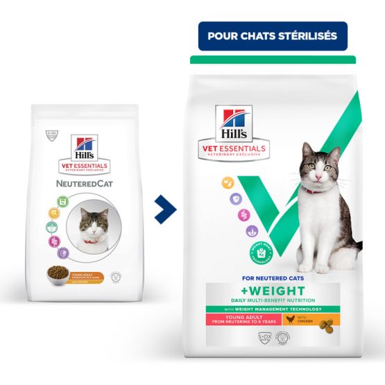 chat-multi-benefit-weight-young-adult-poulet