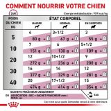 ROYAL CANIN VETERINARY DIET Dog Renal Émincé