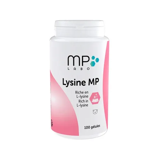 Lysine MP Chat 