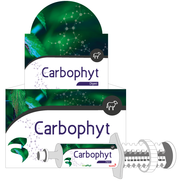 Carbophyt