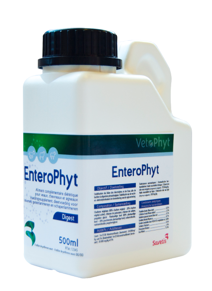 Enterophyt