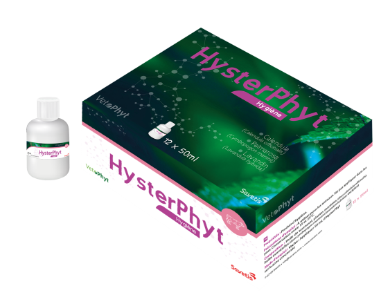 Hysterphyt