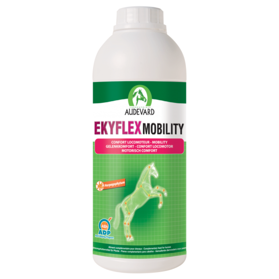 ekyflex-mobility