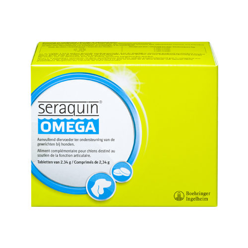 seraquin omega chien