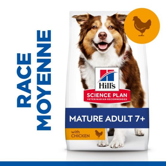 hill's canine mature medium poulet