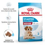 royal-canin-medium-starter-mother-babydog-vetorino