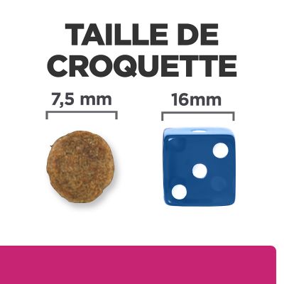 Hill's Prescription Diet Gastrointestinal Biome Mini Croquettes pour petit Chien au Poulet