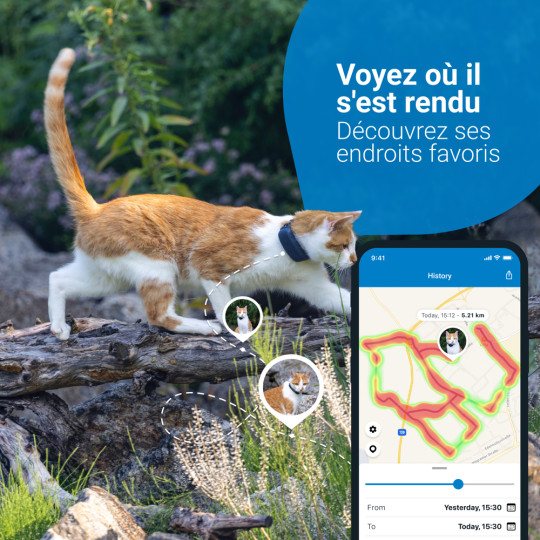 Collier GPS pour chat - Tractive GPS CAT (2021) blanc Tractive - Vétorino