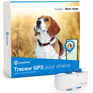 Collier GPS pour chien - Tractive GPS DOG 4