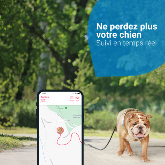 Collier GPS chien sans abonnement vert