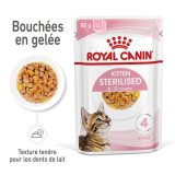 royal-canin-cat-kitten-sterilised-eminces-en-gelee-vetorino