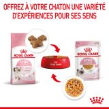 royal-canin-cat-kitten-eminces-en-gelee-vetorino