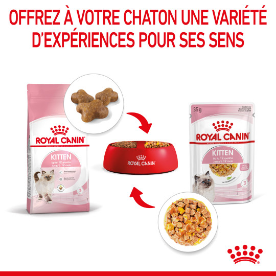 royal-canin-cat-kitten-eminces-en-gelee-vetorino