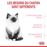 royal-canin-cat-kitten-vetorino