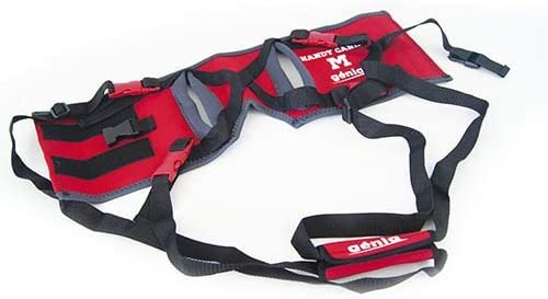 handy-canis-harnais