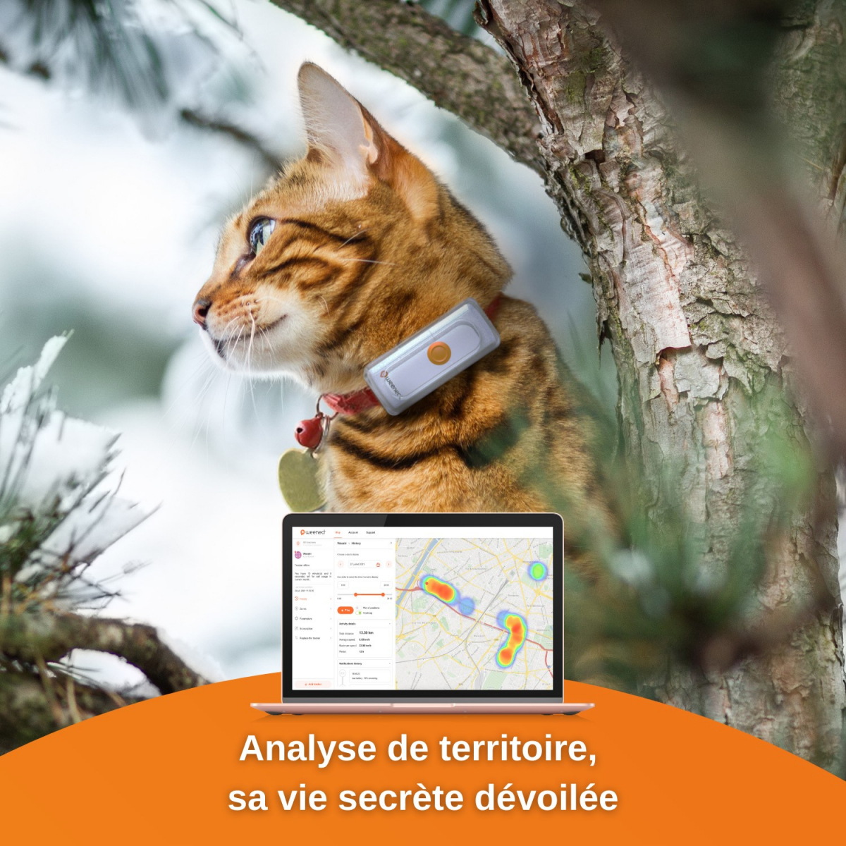 Traceur GPS pour Chat – Animal Saveur