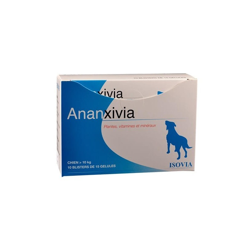 Ananxivia Grand Chien