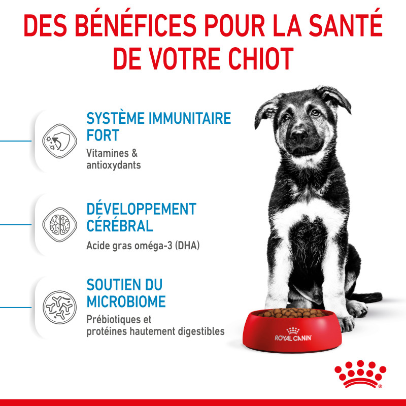 Veterinary Health Nutrition (Royal Canin) Dog Puppy Maxi Royal