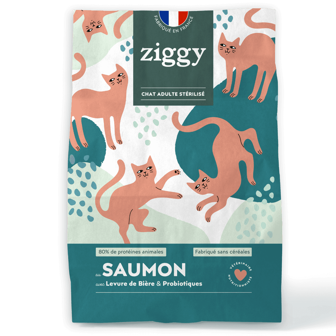 Croquettes Chat Stérilisé Sans Céréales Saumon Ziggy Vétorino