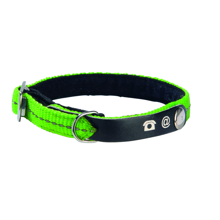 Collier Chat porte adresse Lost Fluo