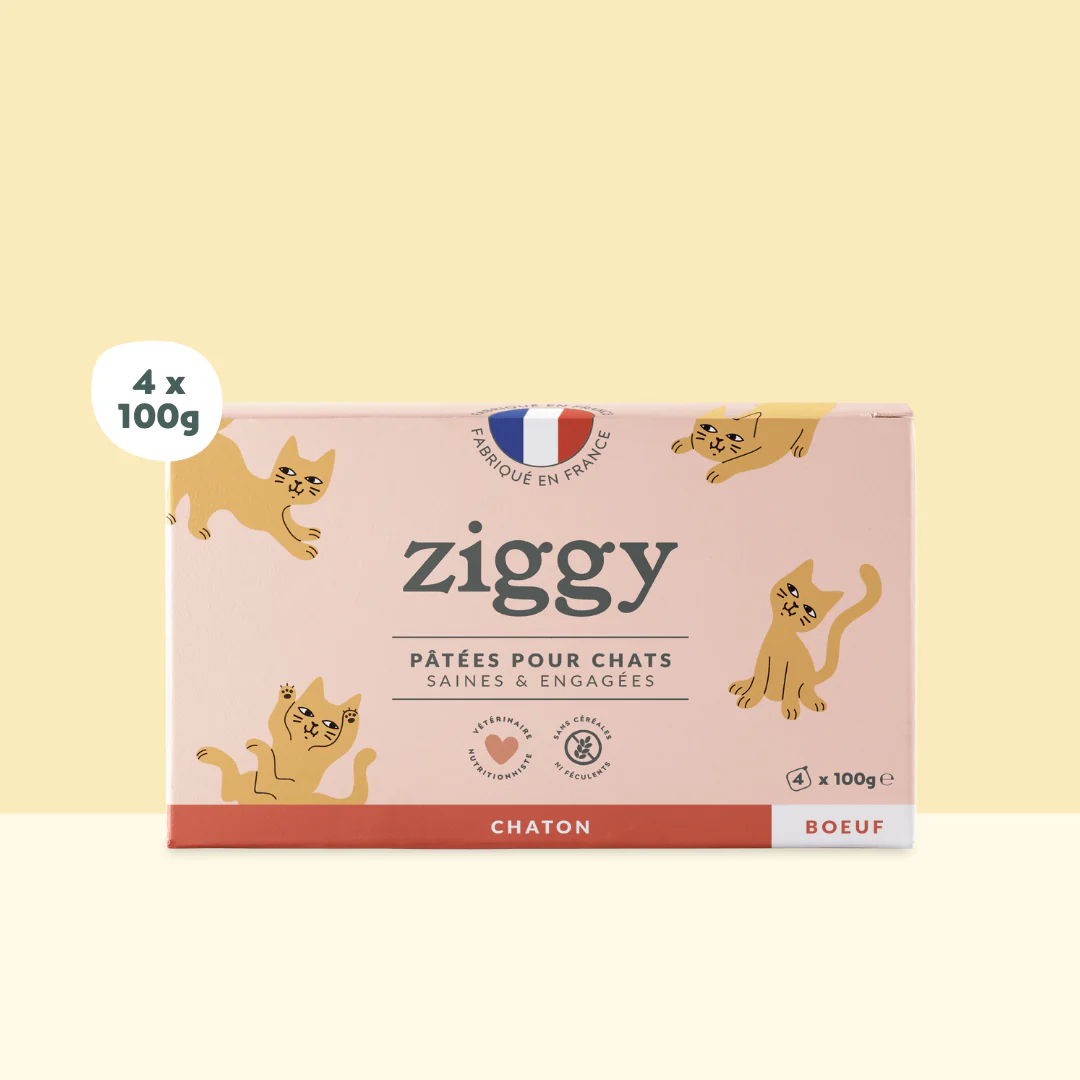Laboratoire Ziggy Croquettes V t rinaire Pour Chat laboratoire-ziggy-croquettes-v-t-rinaire-pour-chat