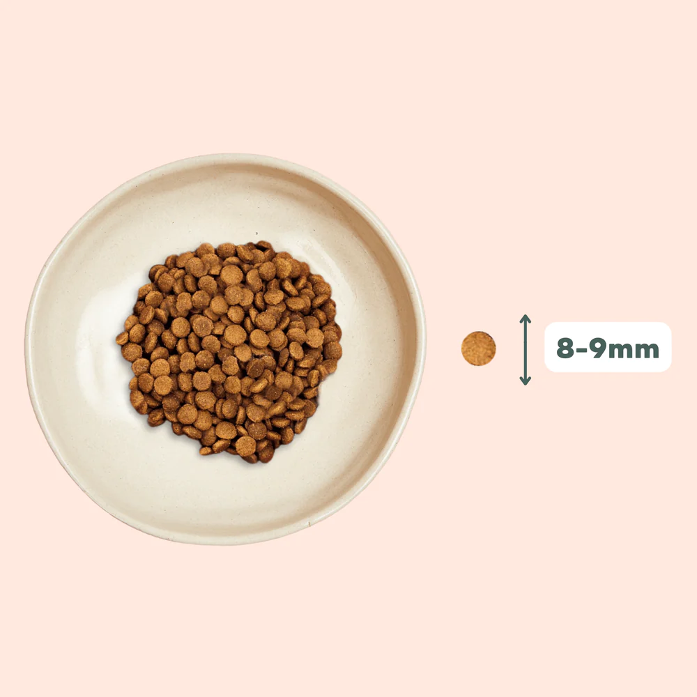 Croquettes Chat Stérilisé Sans Céréales Poulet Ziggy Vétorino