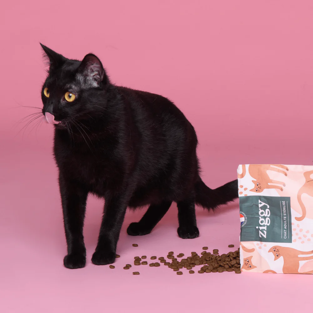 Croquettes Chat Stérilisé Sans Céréales Poulet Ziggy Vétorino