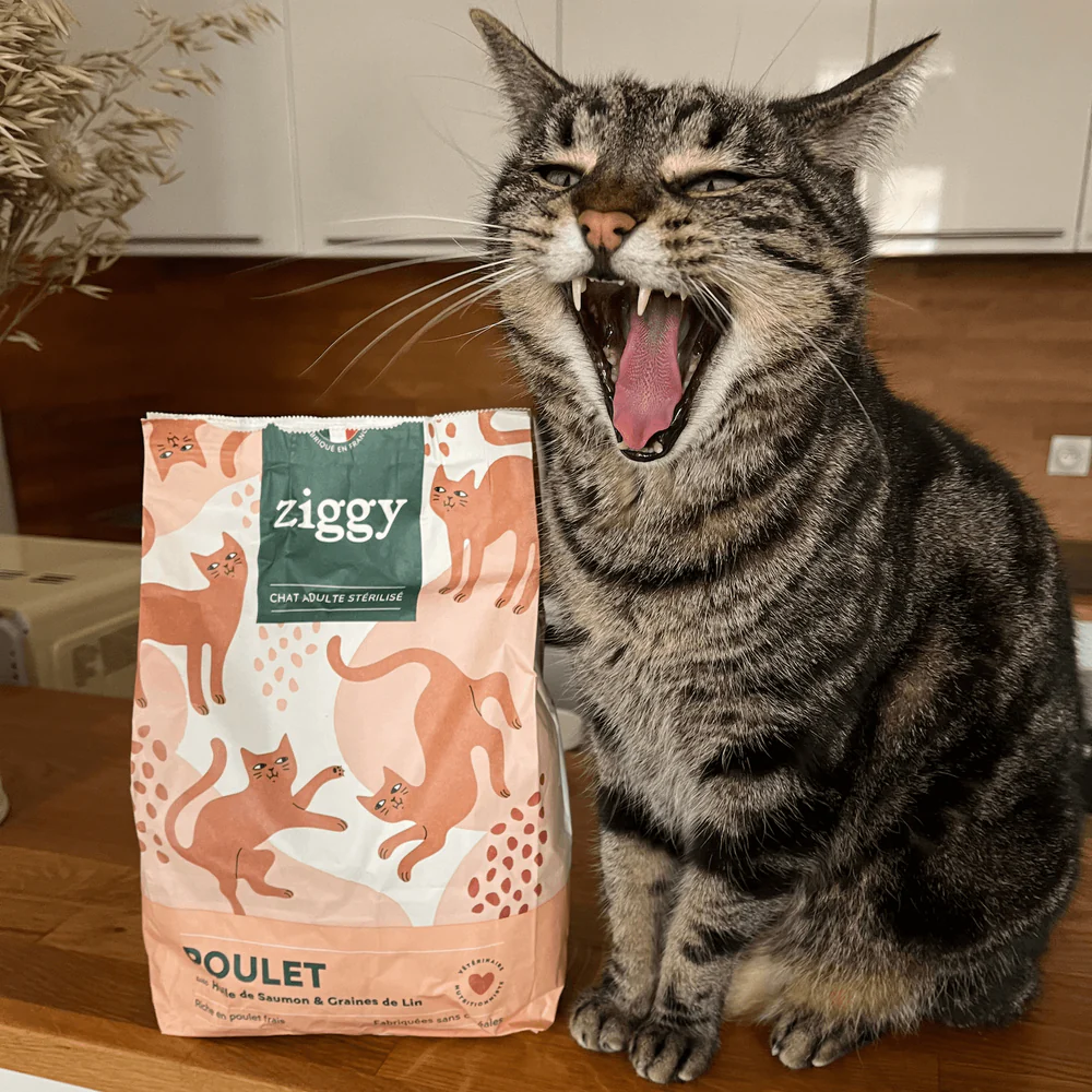 Croquettes Chat Stérilisé Sans Céréales Poulet Ziggy Vétorino