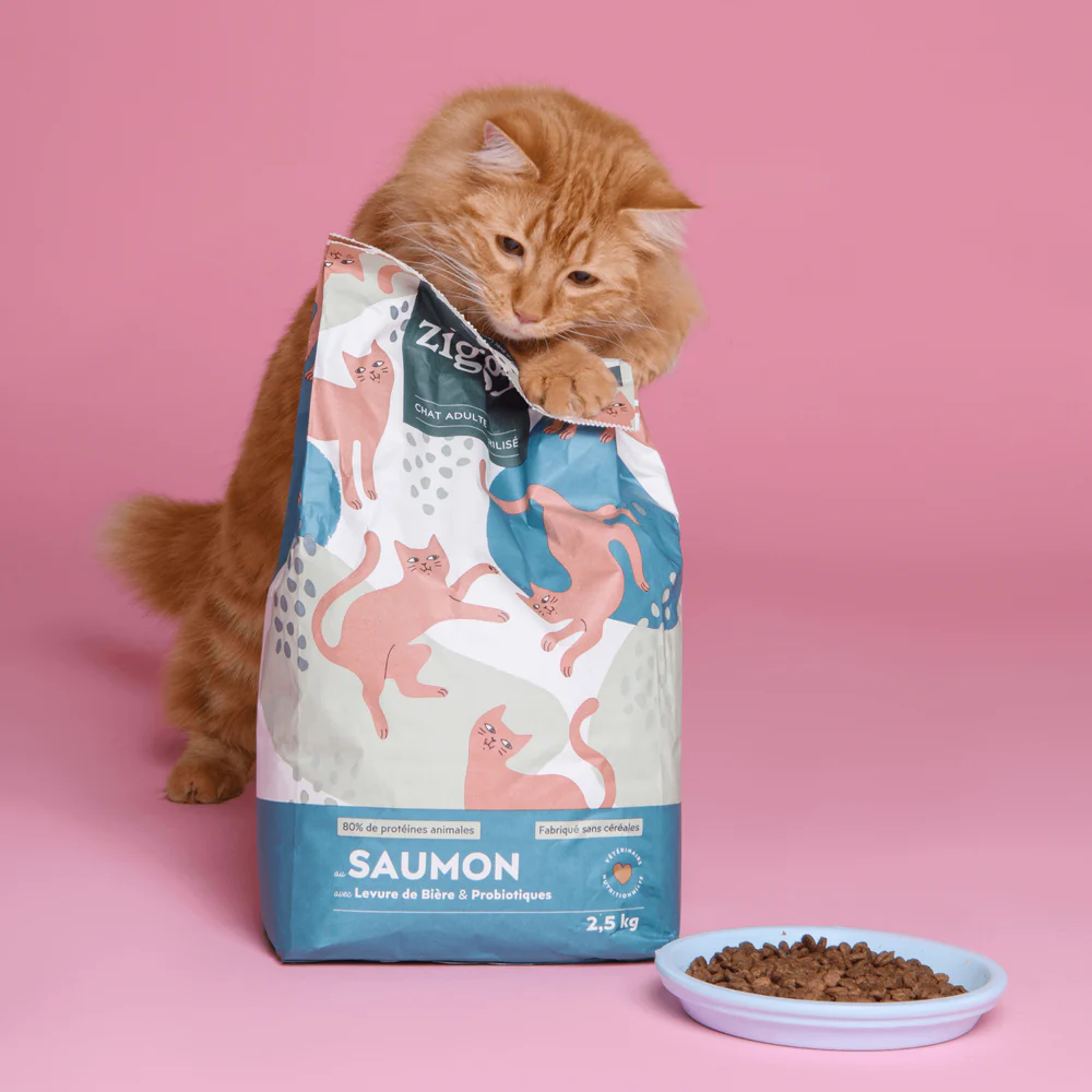 Croquettes Chat Stérilisé Sans Céréales Saumon Ziggy Vétorino