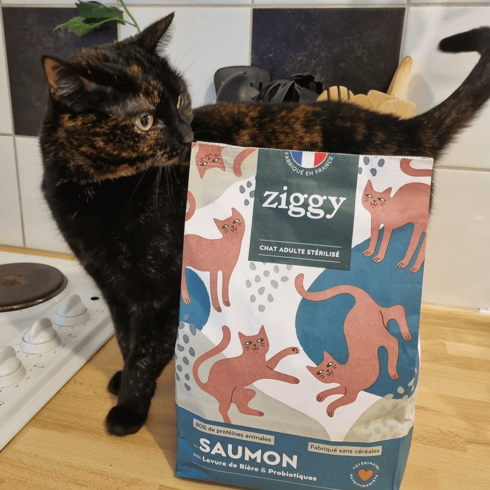 Croquettes Chat Stérilisé Sans Céréales Saumon Ziggy Vétorino