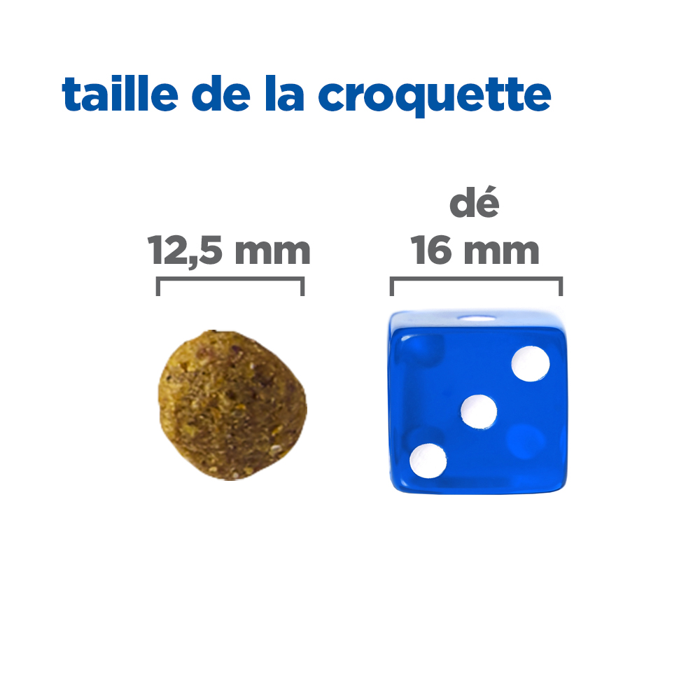 Pumpkin Agneau & Myrtille Chien Adulte Medium/Maxi - 12,00 Kg